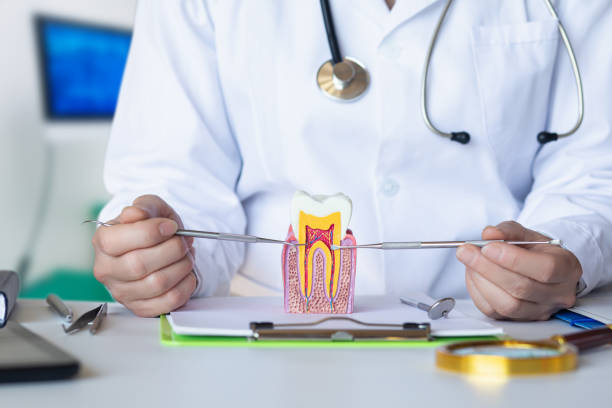 Best Emergency Dental Services for Seniors in Quantico Base, VA